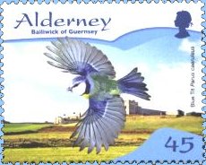 Alderney pimpelmees 2007