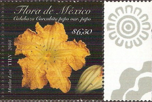 'Bloem van pompoen postzegel Mexico