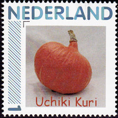 Uchiki Kuri